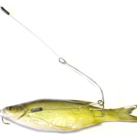 Southway Flagel Bait Rig