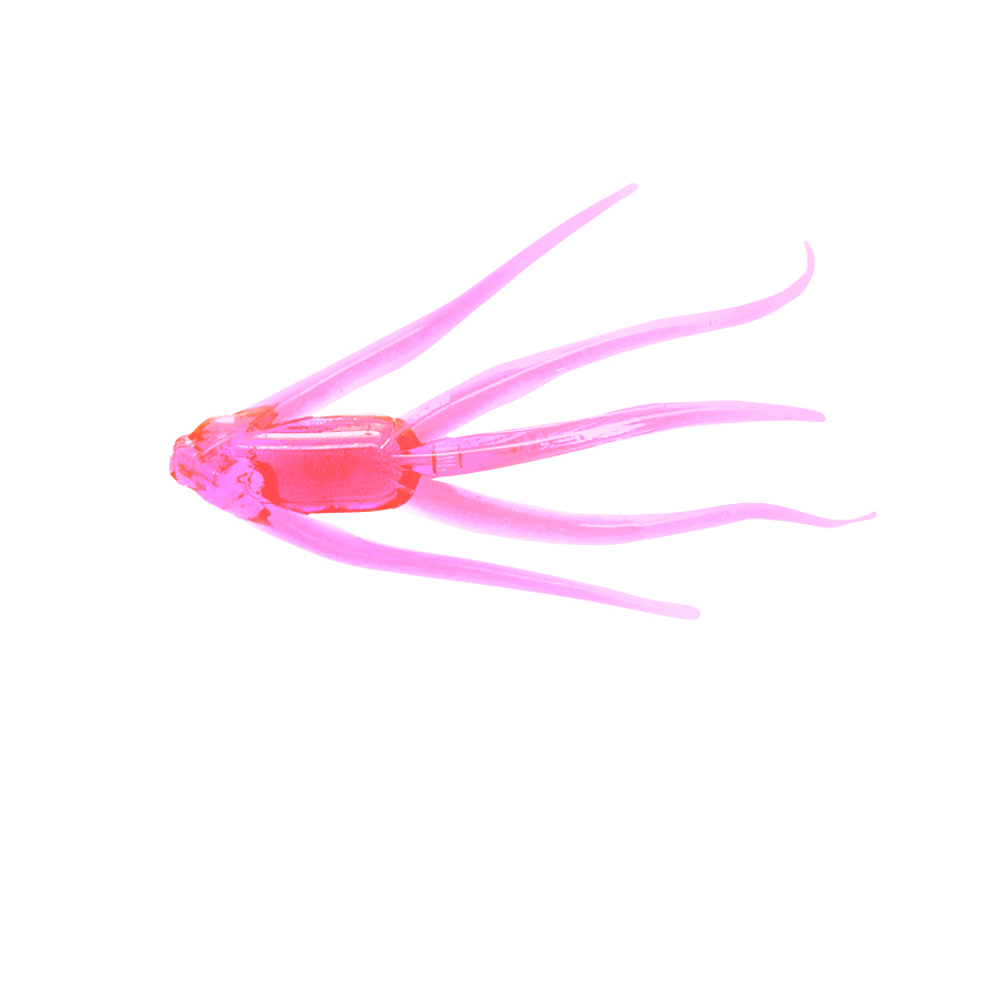 Clam Maki - thumbnail 3