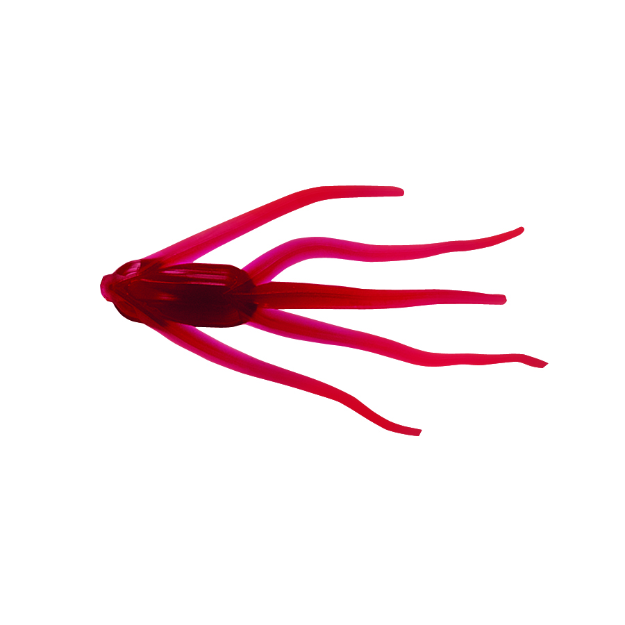 Clam Maki - thumbnail 4